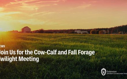 Join Us for the Cow-Calf and Fall Forage Twilight Meeting