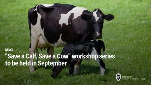 “Save a Calf, Save a Cow” workshop series to be held in September