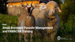 Small Ruminant Parasite Management and FAMACHA Training
