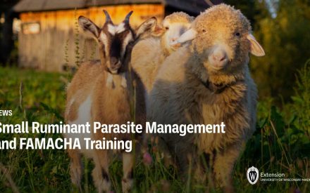 Small Ruminant Parasite Management and FAMACHA Training