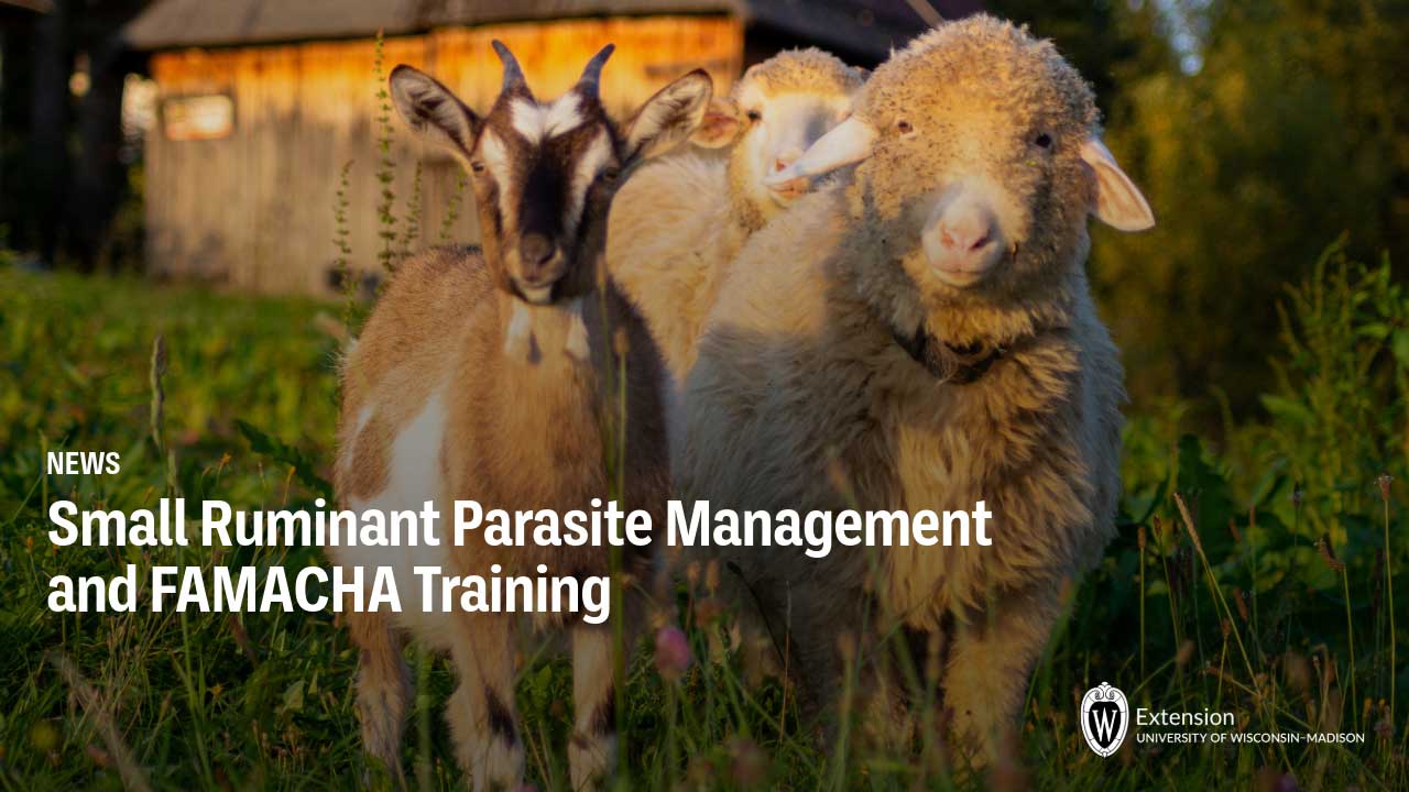 Sheep and goats in pasture with text "Small Ruminant Parasite Management and FAMACHA Training" and UW-Madison Extension logo