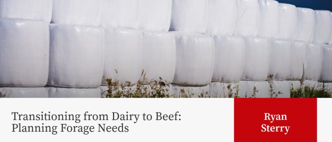 Transitioning from Dairy to Beef: Planning Forage Needs