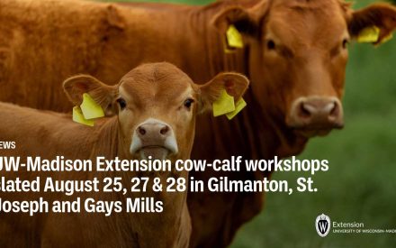 UW-Madison Extension cow-calf workshops slated August 25, 27 & 28 in Gilmanton, St. Joseph and Gays Mills