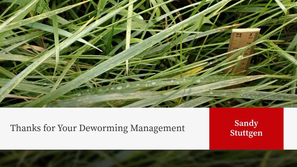 Grass blades with water droplets and measuring ruler. Text reads "Thanks for Your Deworming Management" with "Sandy Stuttgen" in red box.