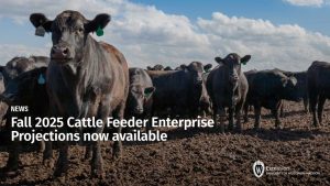 Fall 2025 Cattle Feeder Enterprise Projections now available