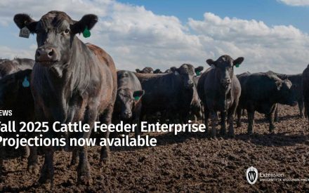 Fall 2025 Cattle Feeder Enterprise Projections now available