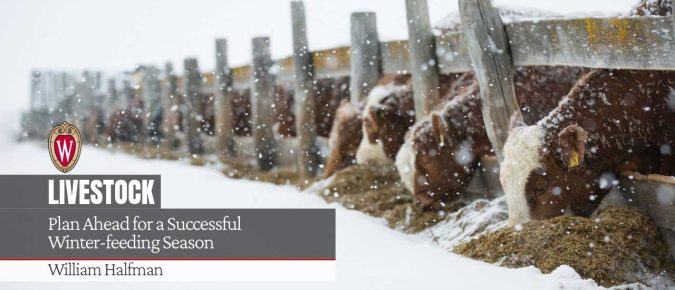 Plan Ahead for a Successful Winter-feeding Season
