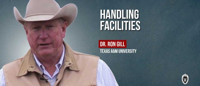▶️ Watch: Handling Facilities
