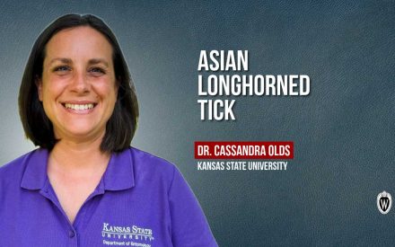 ▶️ Watch: Asian Longhorned Tick