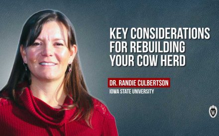 ▶️ Watch: Key Considerations for Rebuilding Your Cow Herd