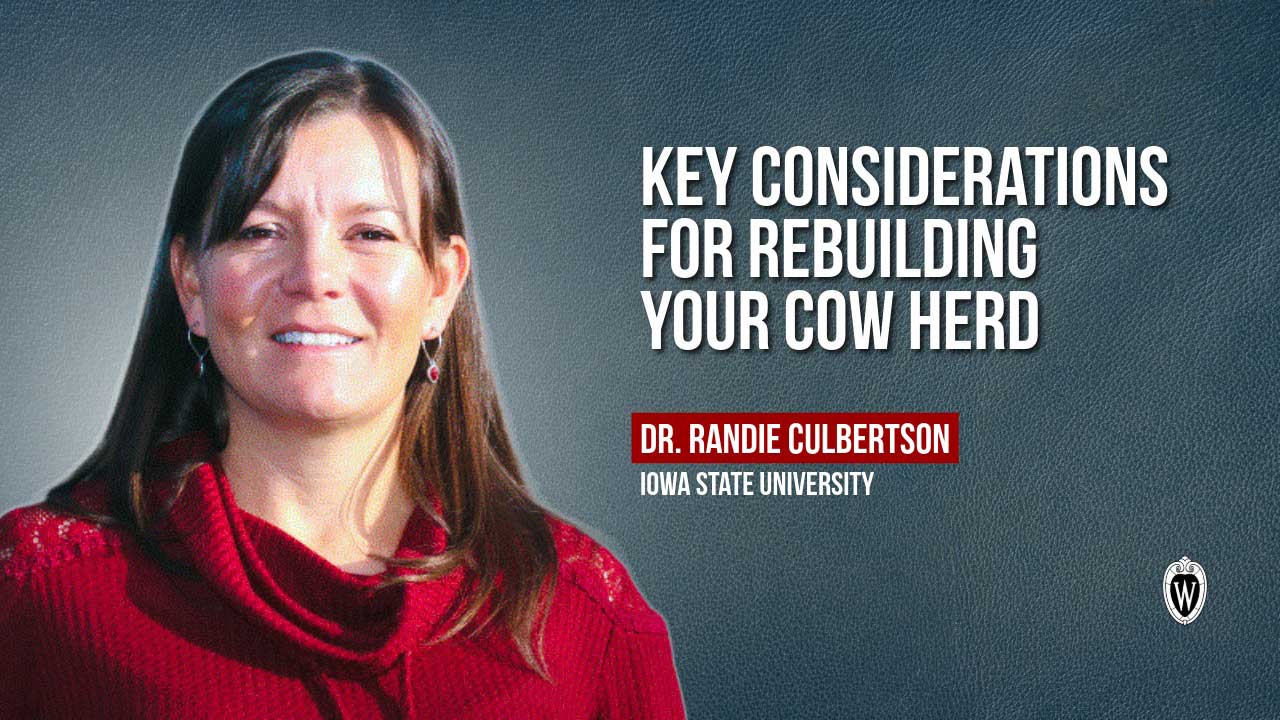 Dr. Randie Culbertson, Iowa State University. Text reads "Key Considerations for Rebuilding Your Cow Herd" with UW-Madison logo.