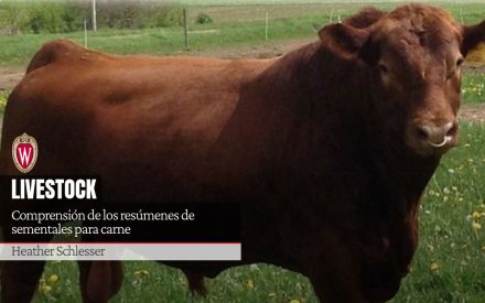Comprensión de los resúmenes de sementales para carne