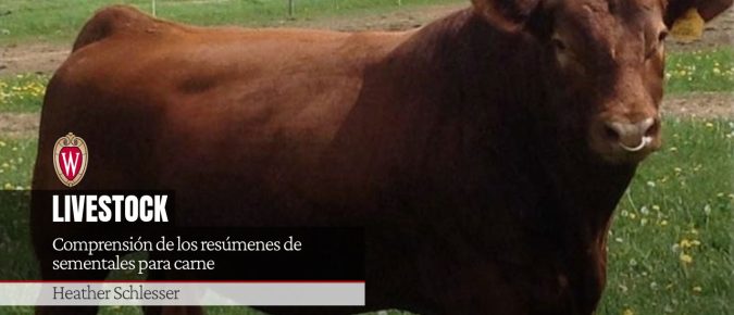 Comprensión de los resúmenes de sementales para carne