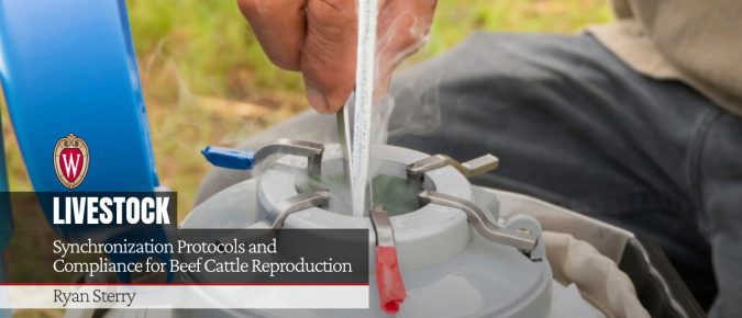 Synchronization Protocols and Compliance for Beef Cattle Reproduction