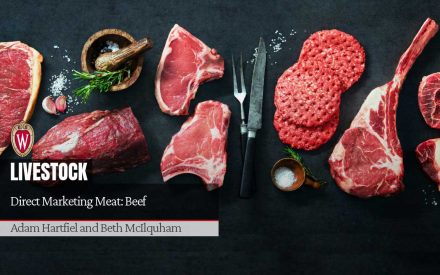 Various beef cuts. "Direct Marketing Meat: Beef" by Adam Hartfiel and Beth McIlquham.