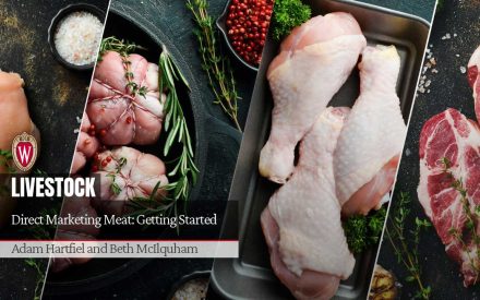 Various raw meats and poultry. "Direct Marketing Meat: Getting Started" by Adam Hartfiel and Beth McIlquham.