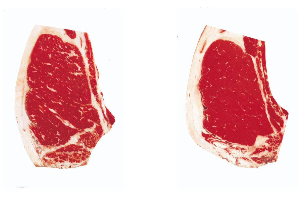 Two beef ribeyes. The first shows moderate marbling. The second shows small marbling.
