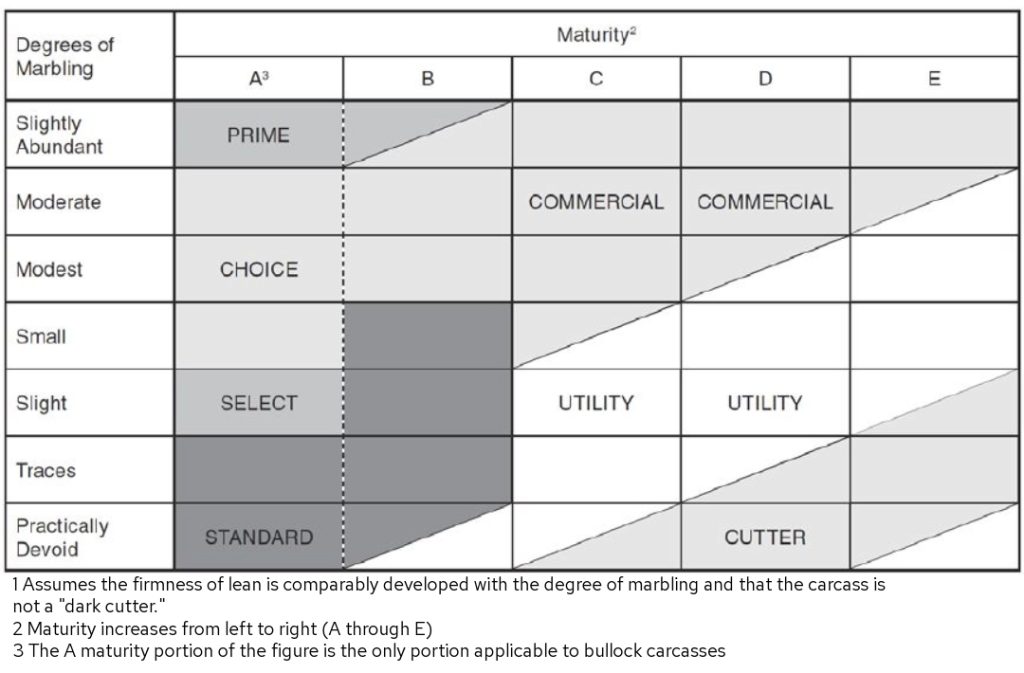 USDA Beef Grading Chart: Relationship Between Marbling, Maturity, and Carcass Quality Grade.