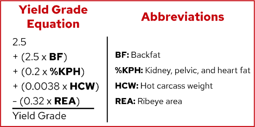 Yield Grade Equation with abbreviations: 2.5 + (2.5 x BF) + (0.2 x %KPH) + (0.0038 x HCW) - (0.32 x REA) = Yield Grade.