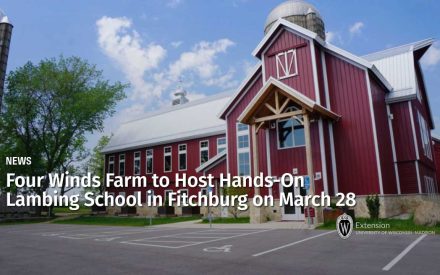 Four Winds Farm to Host Hands‑On Lambing School in Fitchburg on March 28