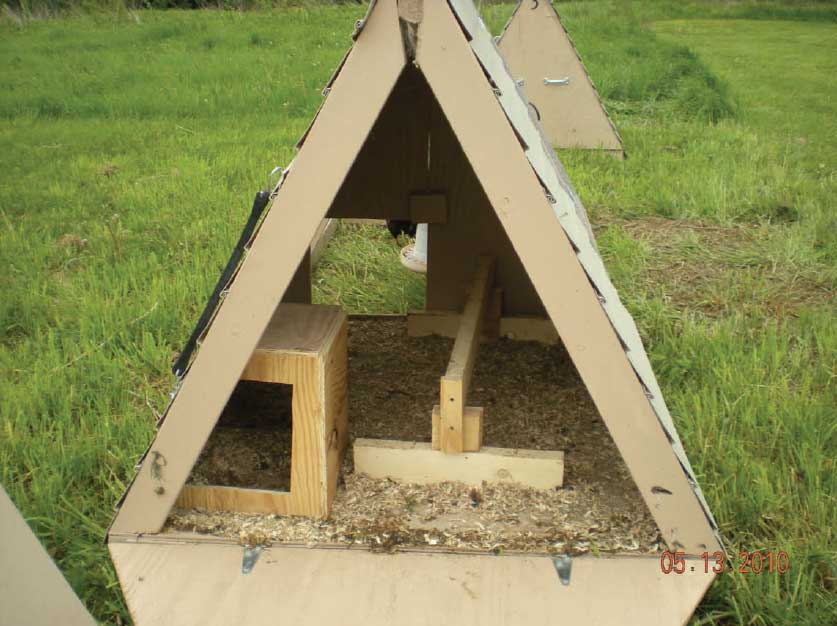 The back door of the poultry ark which is shown in the folded down position to allow access.
