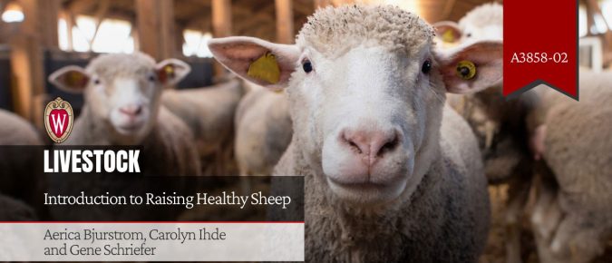 Introduction to Raising Healthy Sheep (A3858-02)