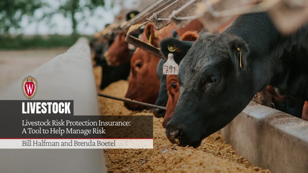 Livestock Risk Protection Insurance: A Tool to Help Manage Risk