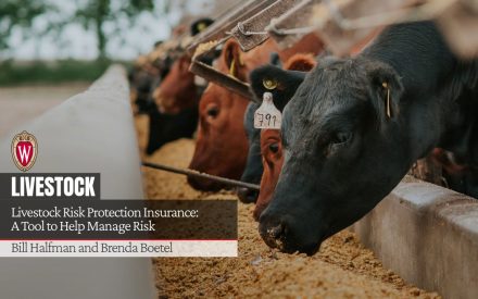 Livestock Risk Protection Insurance: A Tool to Help Manage Risk