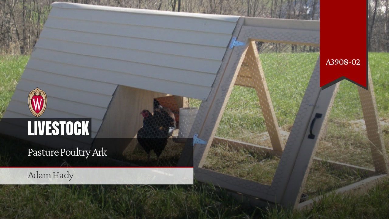 Article title "Pasture Poultry Ark" by Adam Hady. Publication number A3908-02 is shown. In the background a chicken ark with a breeding trio of standard dark Cornish.