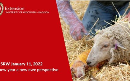 University of Wisconsin-Madison Extension logo with ewe and newborn lamb in straw. "22 SRW January 11, 2022 A new year a new ewe perspective."