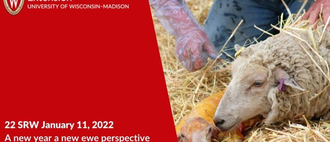 A New Year, A New Ewe Perspective