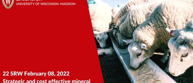 Strategic and Cost Effective Mineral Nutrition for Sheep