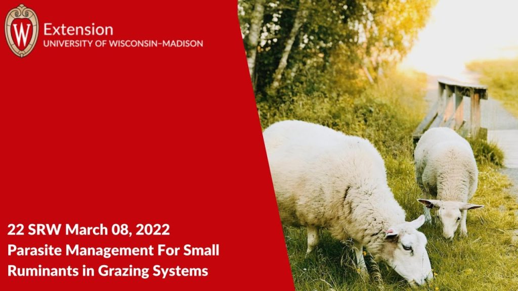 Parasite Management for Small Ruminants in Grazing Systems