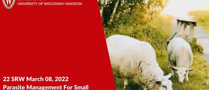 Parasite Management for Small Ruminants in Grazing Systems