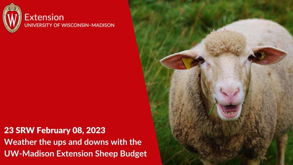 Weather the Ups and Downs with the UW‑Madison Extension Sheep Operation Enterprise Budget