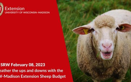UW-Madison Extension logo with sheep holding grass. "23 SRW February 08, 2023 Weather the ups and downs with the UW-Madison Extension Sheep Budget."