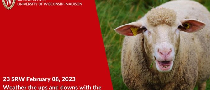 Weather the Ups and Downs with the UW‑Madison Extension Sheep Operation Enterprise Budget