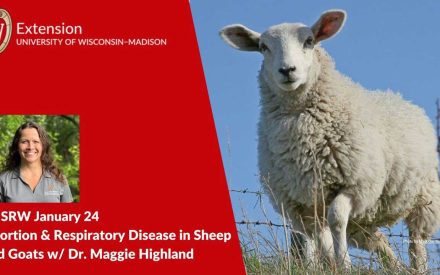 Abortion & Respiratory Disease in Sheep and Goats