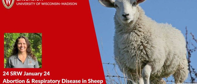 Abortion & Respiratory Disease in Sheep and Goats