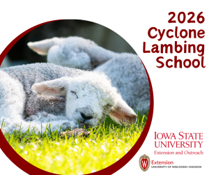 Cyclone Lambing School Offers Practical Training for Sheep Producers 