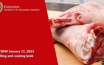 Cooking and Grilling Lamb