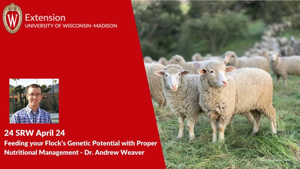 Feeding your Flock’s Genetic Potential with Proper Nutritional Management
