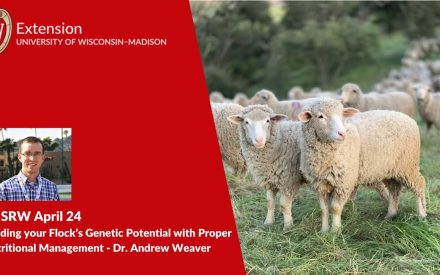 Feeding your Flock’s Genetic Potential with Proper Nutritional Management