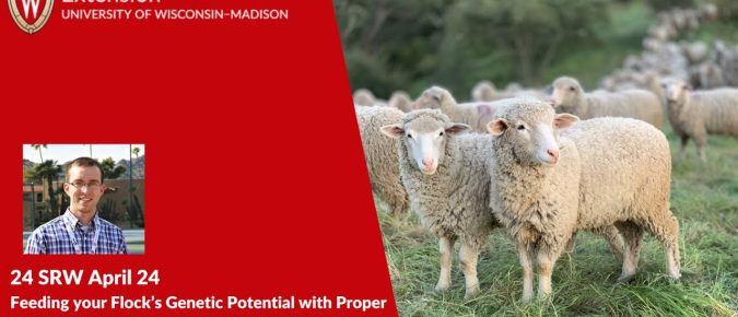 Feeding your Flock’s Genetic Potential with Proper Nutritional Management