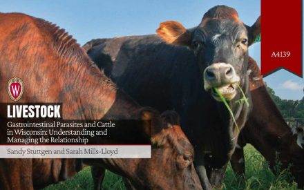 Gastrointestinal Parasites and Cattle in Wisconsin: Understanding and Managing the Relationship (A4139)