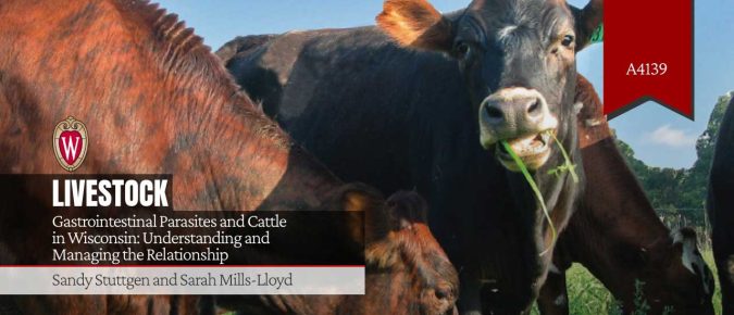 Gastrointestinal Parasites and Cattle in Wisconsin: Understanding and Managing the Relationship (A4139)