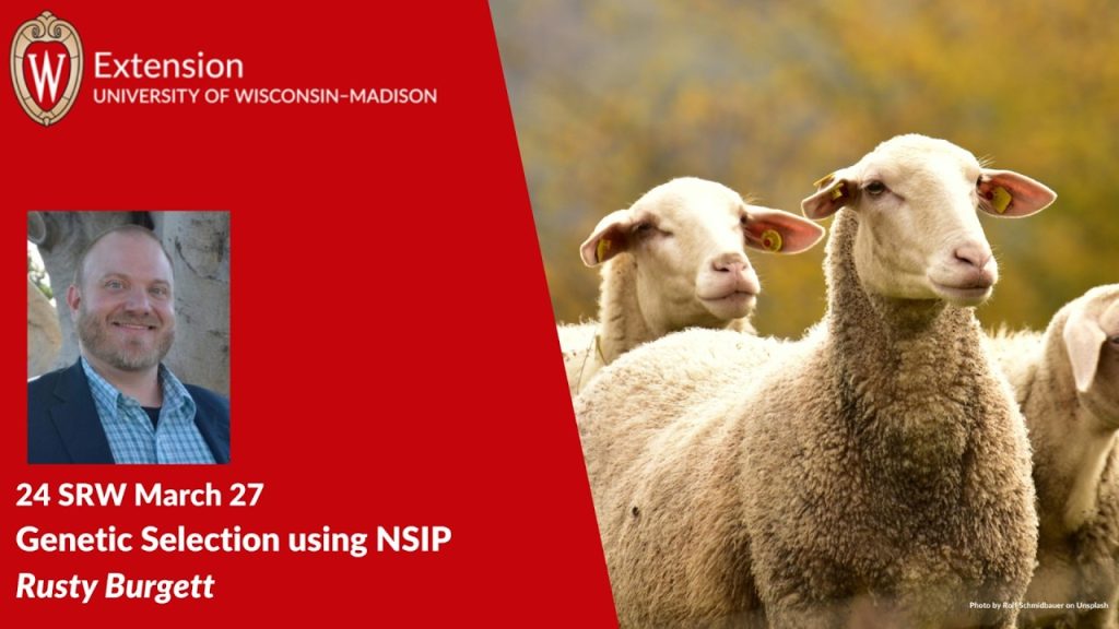 Genetic Selection Using NSIP