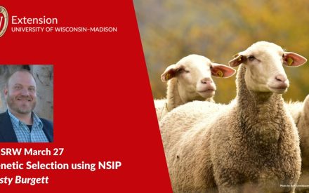 Genetic Selection Using NSIP