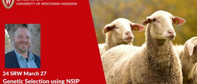 Genetic Selection Using NSIP