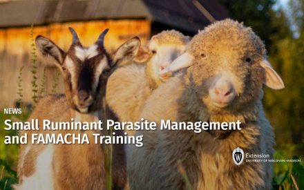 Small Ruminant Parasite Management and FAMACHA Training